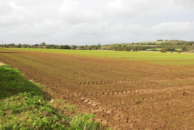 Chatsmore Farm in the Goring Gap where Persimmon wants to build 475 new homes
