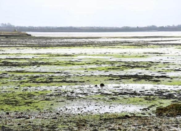 The UK Government said this action is 'strictly time-limited' and there are 'robust conditions in place to mitigate risks' to the environment. Photo: Steve Robards