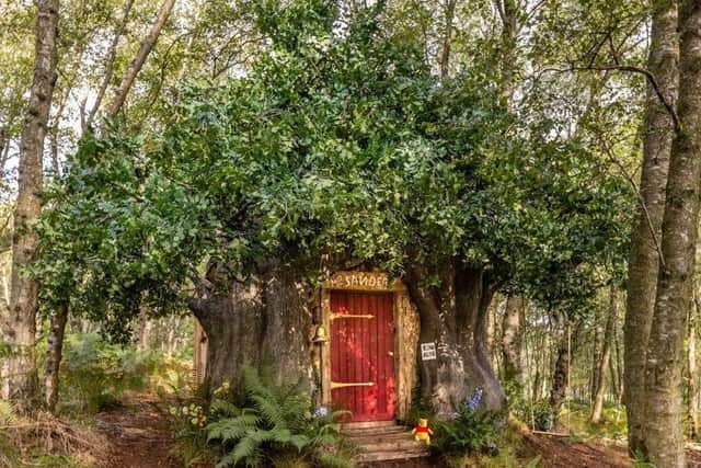 The Pooh-inspired house is in the trees in Ashdown Forest, East Sussex