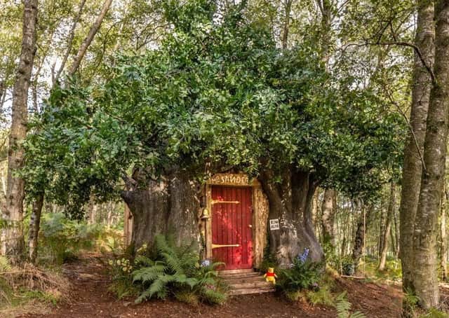 The Pooh-inspired house is in the trees in Ashdown Forest, East Sussex