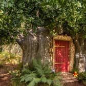 A Winnie the Pooh inspired house in Ashdown Forest, the original Hundred Acre Wood, is available to book on Airbnb as part of Disney's 95th Anniversary celebrations. By Henry Woide