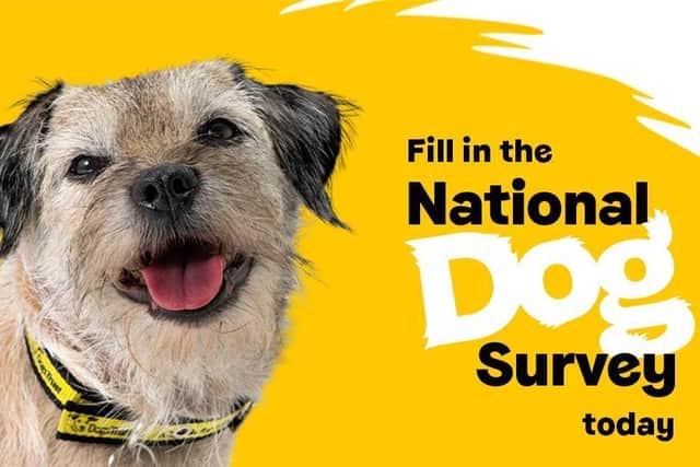 The National Dogs Survey runs until October 17. Visit www.nationaldogsurvey.org.uk