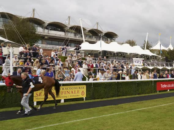 Goodwood hosts racing on Wednesday afternoon / Picture: Clive Bennett