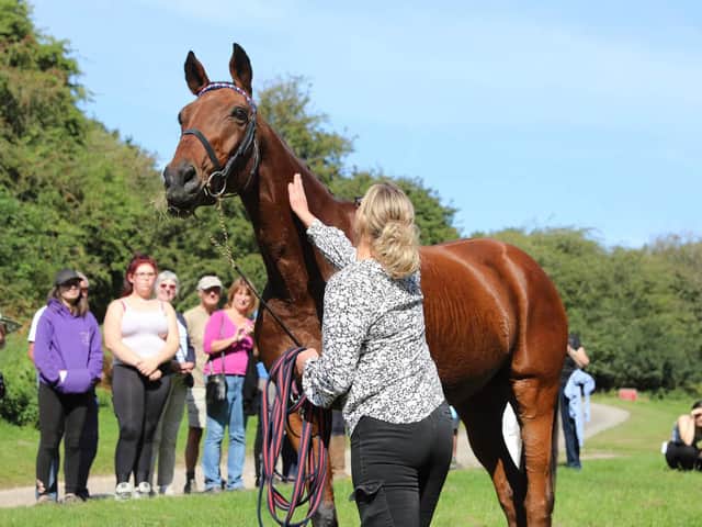 Ex-racehorse Pass Me By gets some attention at the open day