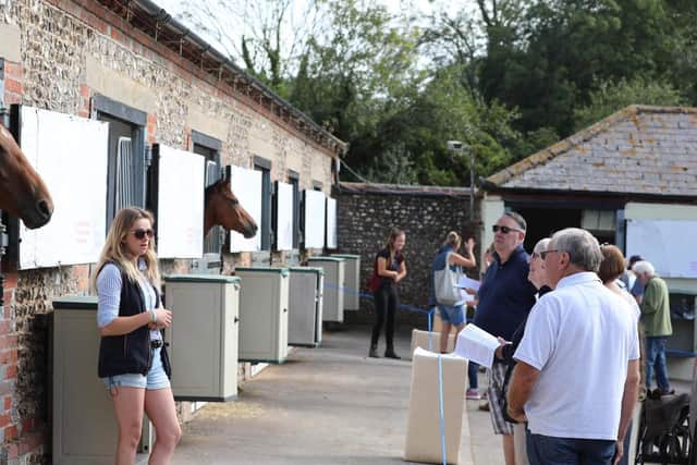 Visitors enjoy their tours of Suzy Smith's training facilities