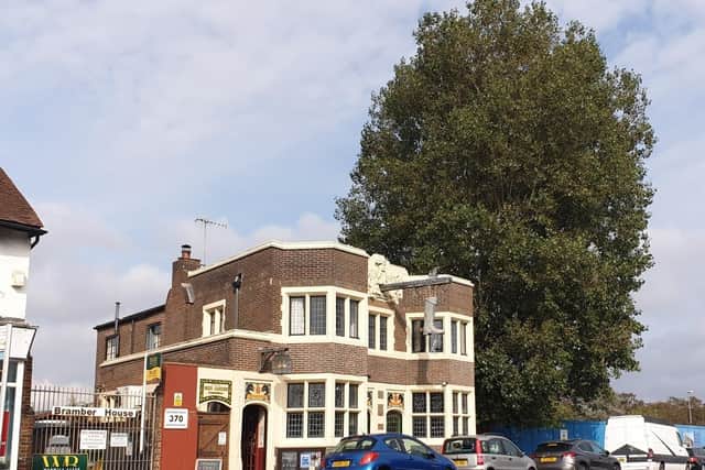 The poplar tree pictured next to the Duke of Wellington pub