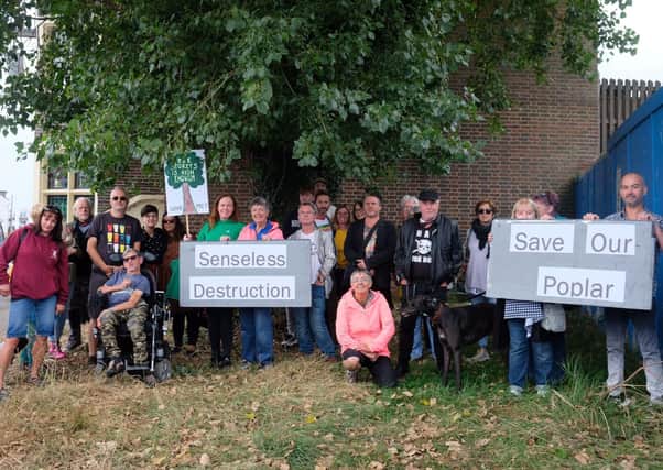 Campaigners pictured at the base of the tree on Saturday