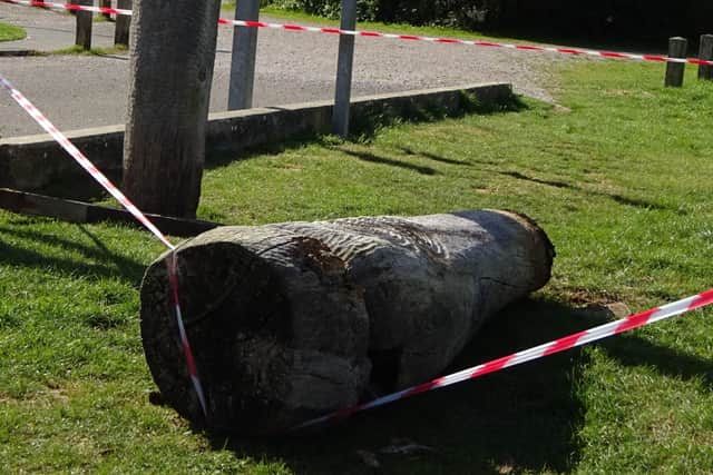 The fallen totem pole in Shinewater Park, Eastbourne. Picture from Maxine Spilsted SUS-210929-162119001
