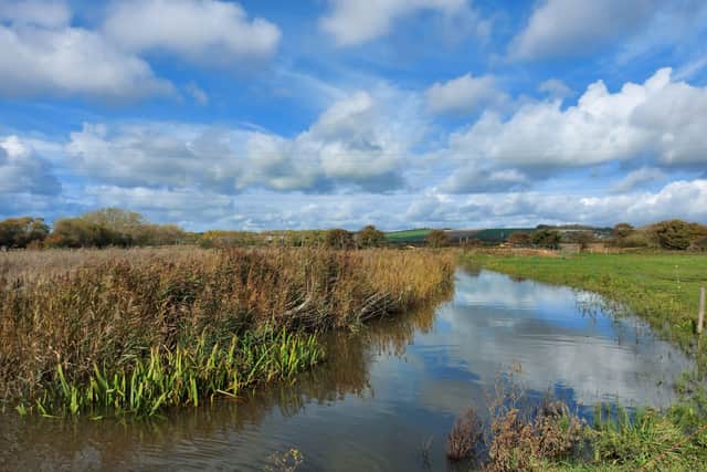 The EPIC Project at Sompting Brooks has been named as a finalist for the 2021 UK River Prize