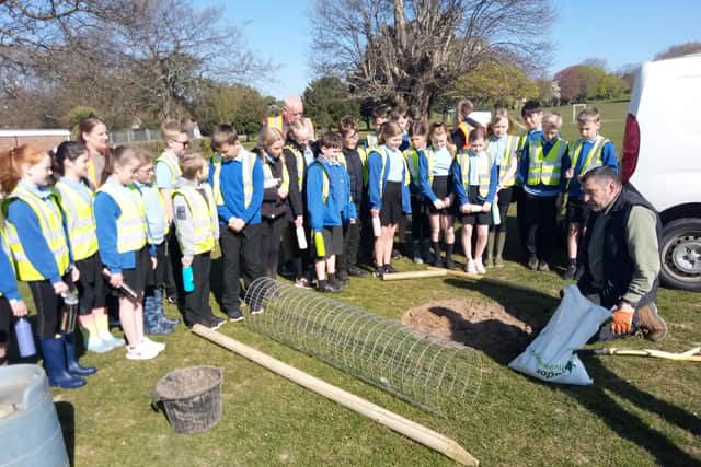 Buckingham Park Primary School pupils learning about trees and planting saplings in April 2021