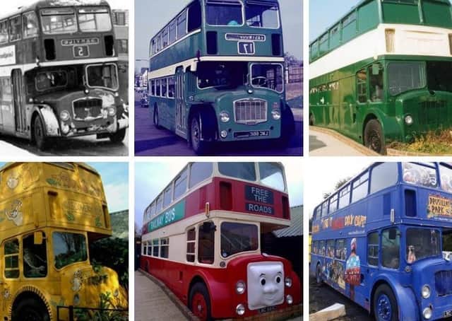 The Drusillas bus over the years SUS-210710-172543001
