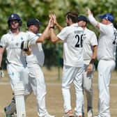 Worthing celebrate one of four Darryl Rebbetts wickets | Picture: Stephen Goodger