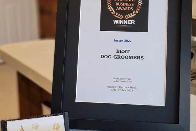 Starz Dog Grooming has been named the best dog groomers in Sussex.