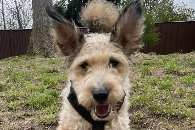 Elsie has transformed into a  ‘cheeky, bouncy, happy girl’.