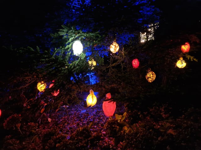 Leonardslee Lights 2024 transports guests into an enchanting world as the gardens come alive with stunning illuminations, captivating large-scale installations, mesmerising fountains and more