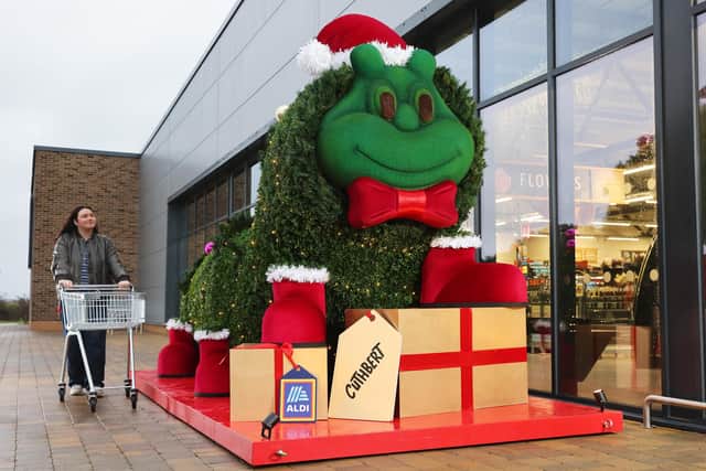 Cuthbert sculpture outside Aldi. Photo: Joe Pepler/PinPep