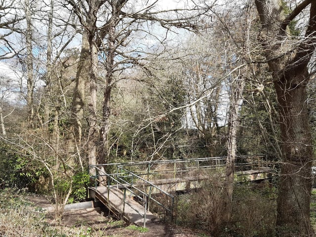 Then you come back into the woods by a metal bridge.