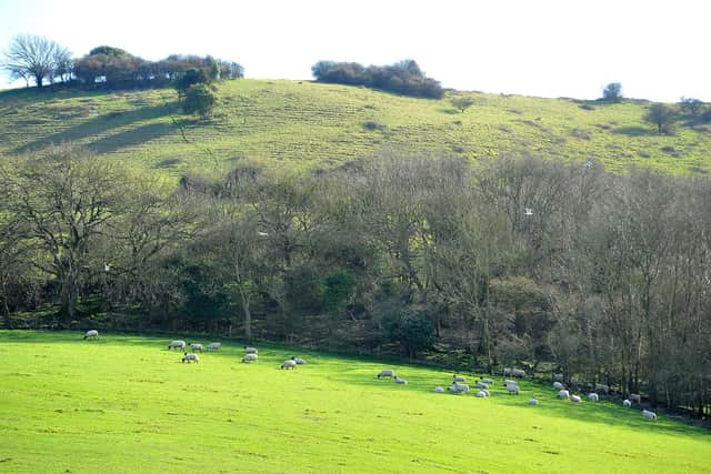Folklore fills the South Downs, including Cissbury Ring and Chanctonbury Ring. Picture: Steve Robards SR2003161