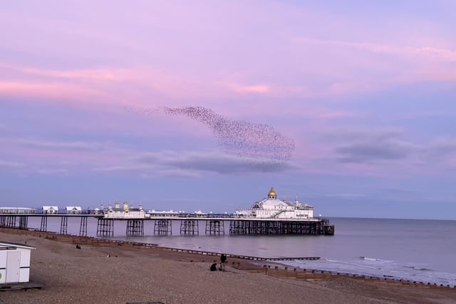 Beautiful Starling murmurations captured at Eastbourne seafront