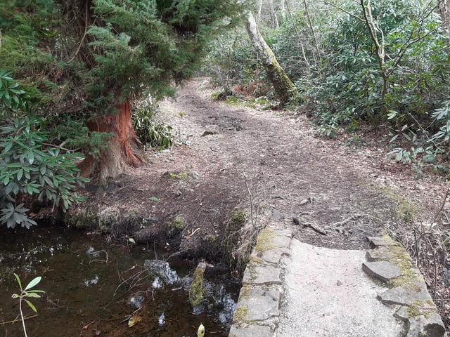 Over the other side, carry on to take a walk through some terrific trees