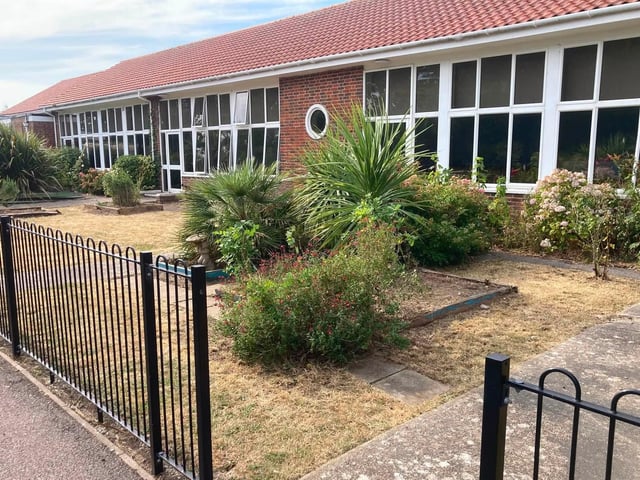 After the Paul Wicks Garden Services free job