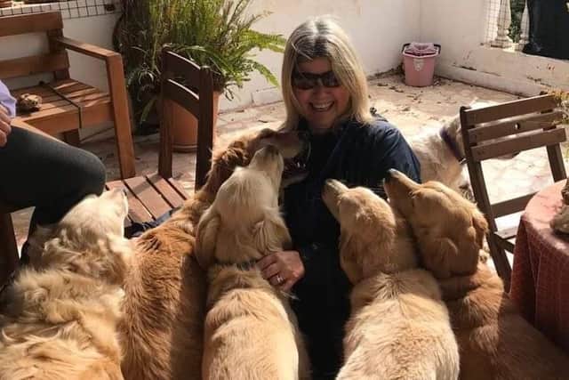 Lisa with some of the golden retrievers