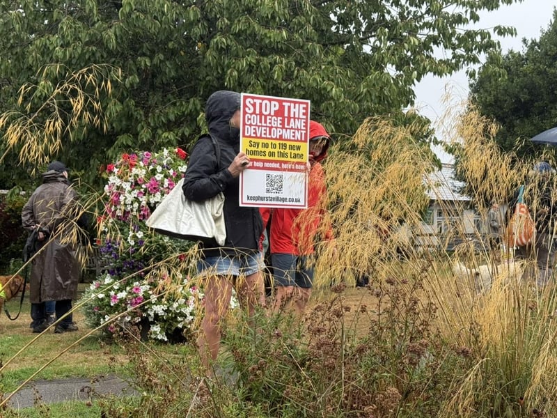 Demonstrators on Hurstpierpoint village green. Picture: Tony Ramirez