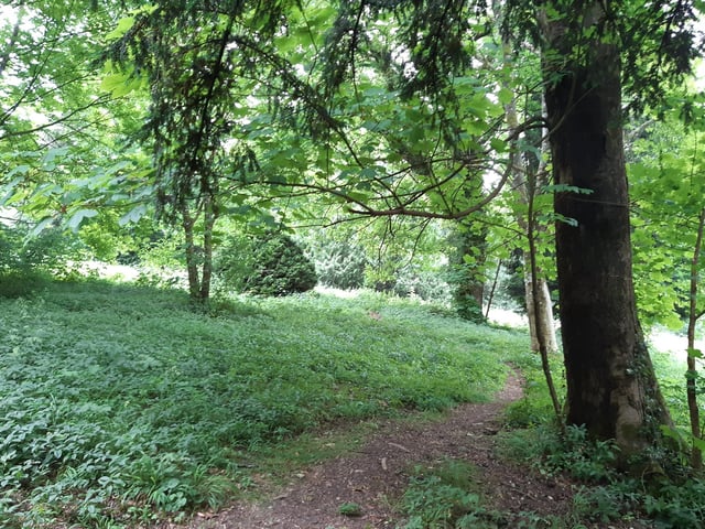It gets narrower but there is still a clear path to follow