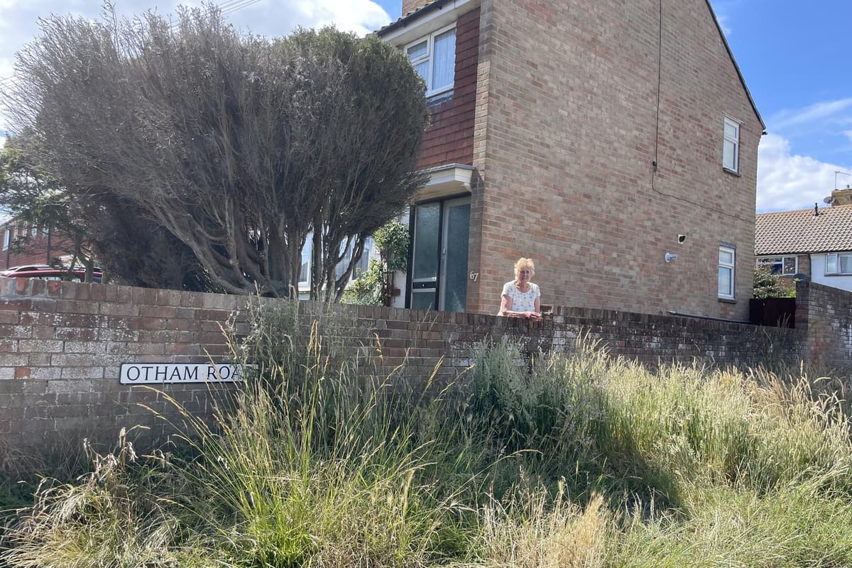 Frau aus Eastbourne sagt: „Der Gemeinderat kümmert sich nicht“ ...