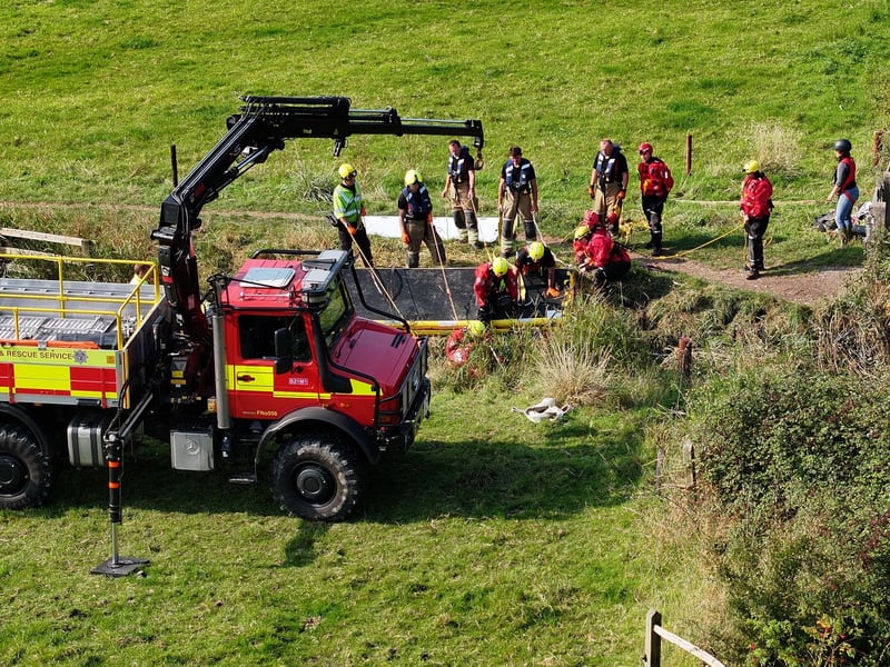Horse who fell in ditch rescued by West Sussex and Surrey fire crews