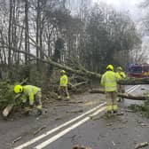 The A281 Guildford Road is currently shut near Horsham after a tree fell across the carriageway during Storm Henk