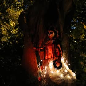 The Midsummer Tree in Broadwater, where it is said at the twilight on Midsummer’s Eve, skeletons would rise up from the roots. Picture: Chris Hare