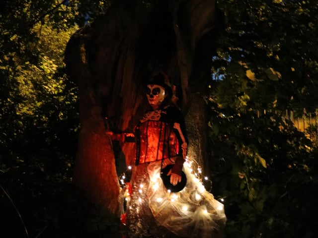 The Midsummer Tree in Broadwater, where it is said at the twilight on Midsummer’s Eve, skeletons would rise up from the roots. Picture: Chris Hare