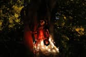 The Midsummer Tree in Broadwater, where it is said at the twilight on Midsummer’s Eve, skeletons would rise up from the roots. Picture: Chris Hare