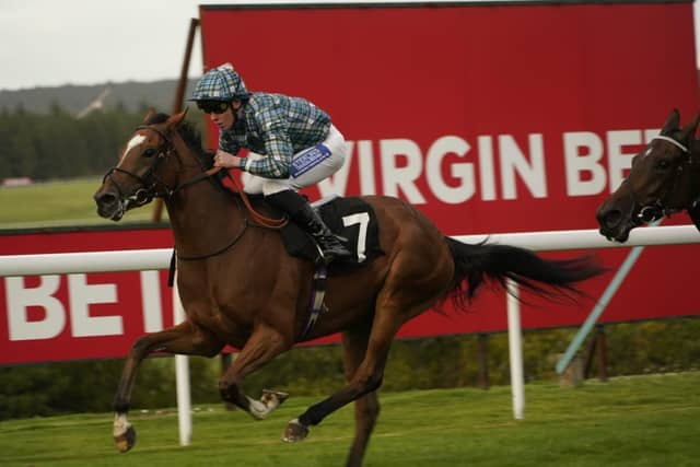 Goodwood Racecourse 2026 season finale