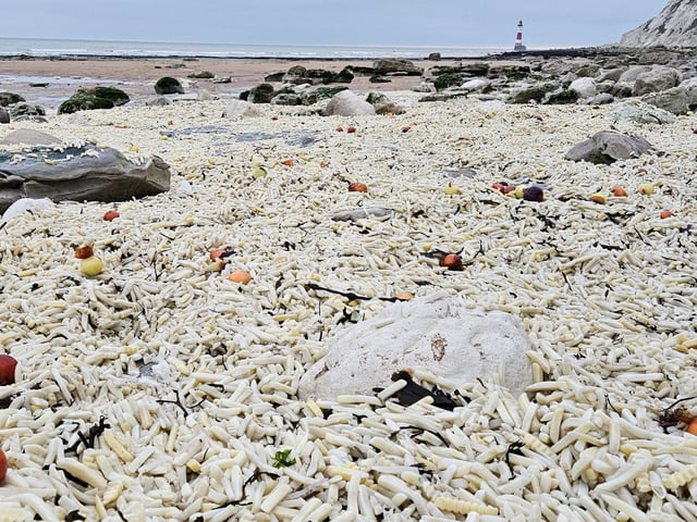 Thousands of chips on the seafront
