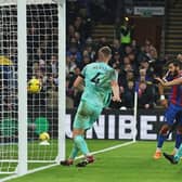 Brighton and Hove Albion were denied three points at Crystal Palace after a howler from goalkeeper Rob Sanchez