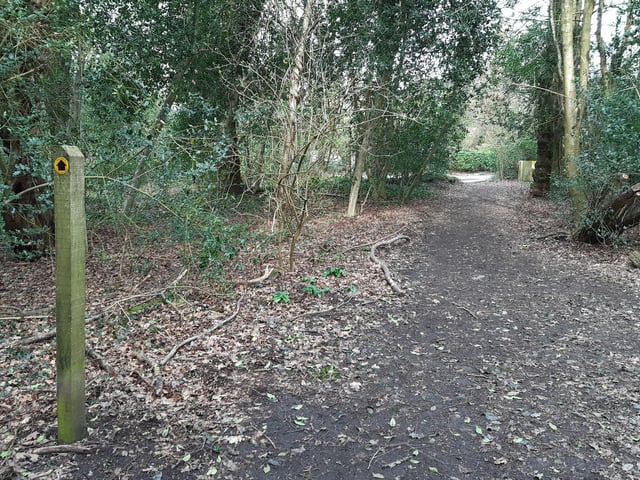 You will see the continuation of Georges Lane ahead of you