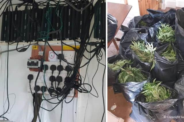 A cannabis factory has been shut down after police were alerted to the drugs growing inside a property in East Sussex. Picture courtesy of Sussex Police