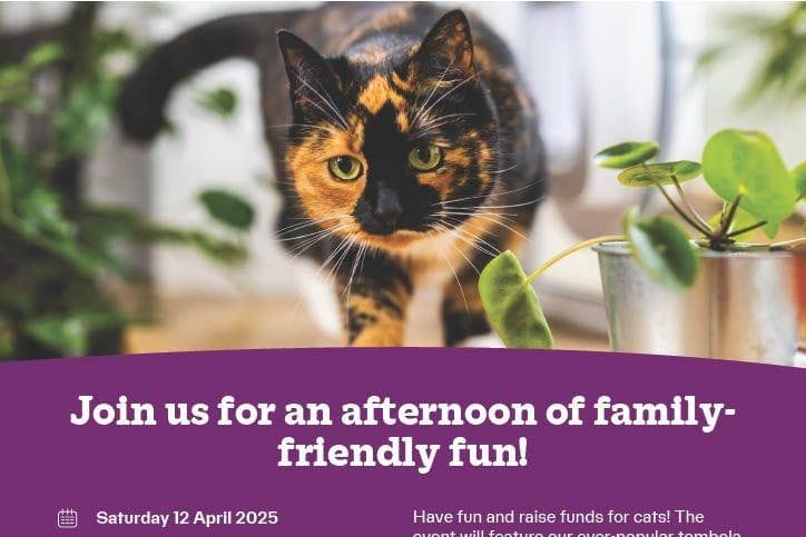 Cats Protection Events Fundraising event at Cats Protection Horsham Branch