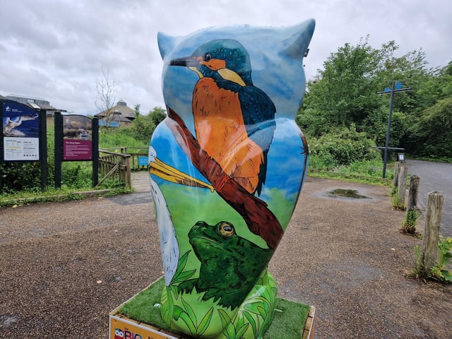 Colourful owls have flown into Arundel as part of the Wild in Art event The Big Hoot trail, raising money for Chestnut Tree House.