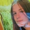 Police are urgently seeking Leyla, 15, missing from Ticehurst. Picture courtesy of Sussex Police