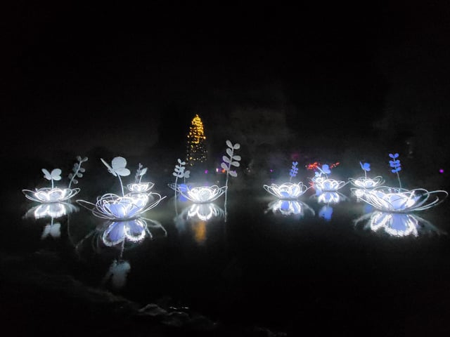 An enchanting winter lantern trail at Wakehurst Place