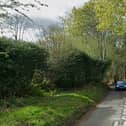 Fernden Lane, Haslemere. Picture: Google Maps