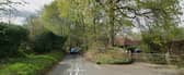 Fernden Lane, Haslemere. Picture: Google Maps