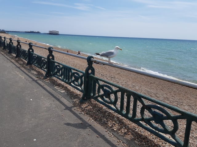 Now it is just a case of walking to Brighton Pier. It may sound easy but it is still about an hour's walk to go!
