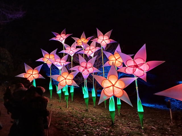Leonardslee Illuminated is on now and runs on selected dates until December 21, 2023