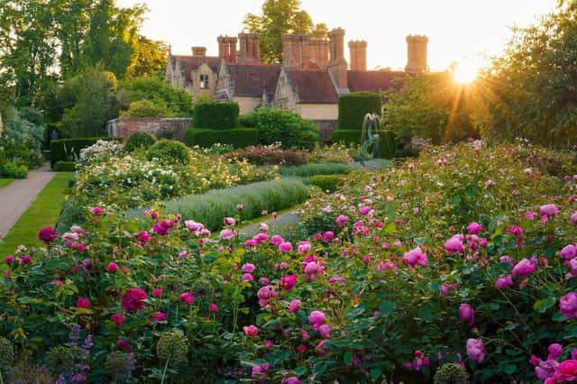Jay Robin's Rose Garden at Borde Hill