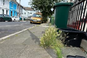 Pavement Weeds  Roundhill area (2023) | Picture: submitted