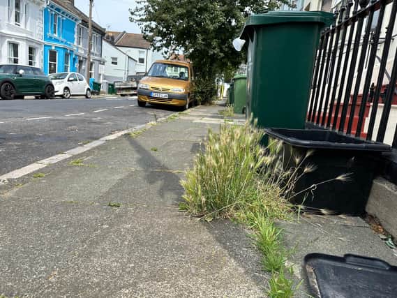 Pavement Weeds  Roundhill area (2023) | Picture: submitted